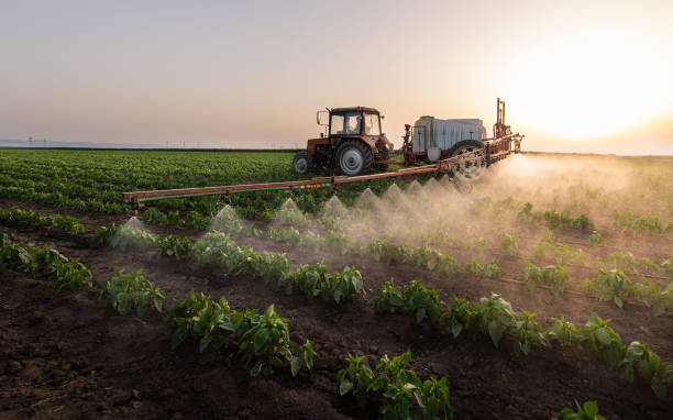 Best Insect Control  in Cavalier, ND