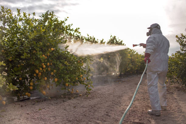 Best Bed Bug Extermination  in Cavalier, ND